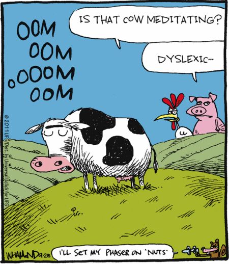 Meditating Cow Comic