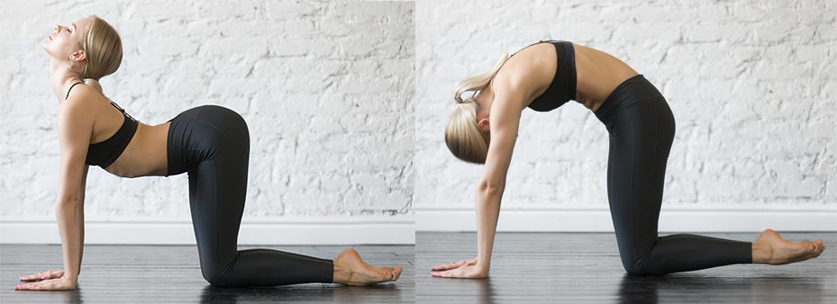 Cat Cow Yoga Pose to Beat Winter Blues