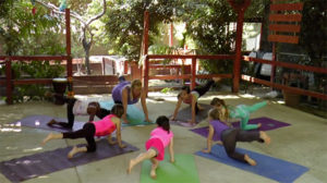 Rainforest Adventure Yoga for Kids Amazon Prime